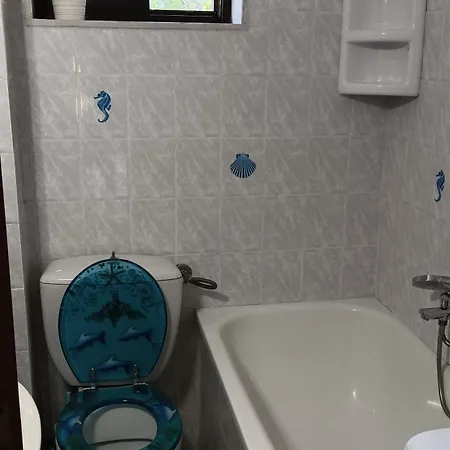 Apartment Delightful Holidays In Halkidiki-gabriel, Maria